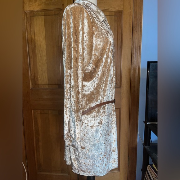 Gold Dress with Belt - Picture 6 of 7